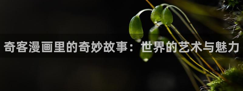 动漫美女羞羞漫画：奇客漫画里的奇妙故事：世界的艺术与魅力