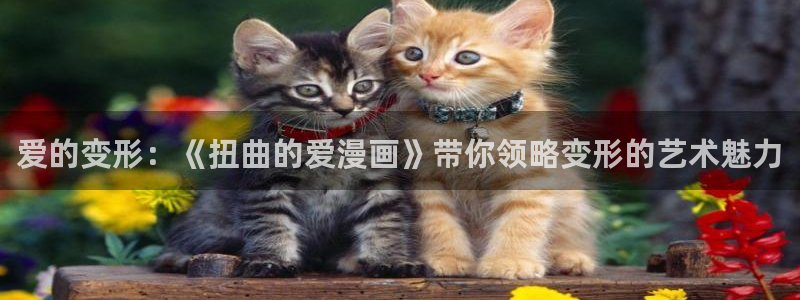 羞羞漫画免费在：爱的变形：《扭曲的爱漫画》带你领略变形的艺术魅力